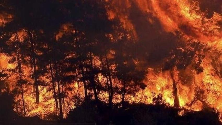 Türkiye'de felaketler peş peşe! Dünyanın dört bir yanı yangınlarla mücadele ediyor: NASA görüntüleri paylaştı...