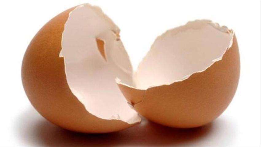 Gıdada bunlar çok tehlikeli! Yumurta, bal, tavuk...