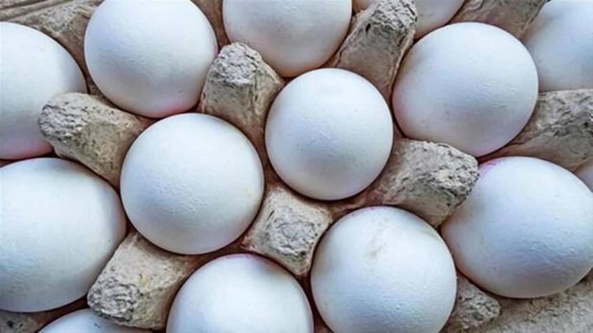 Gıdada bunlar çok tehlikeli! Yumurta, bal, tavuk...