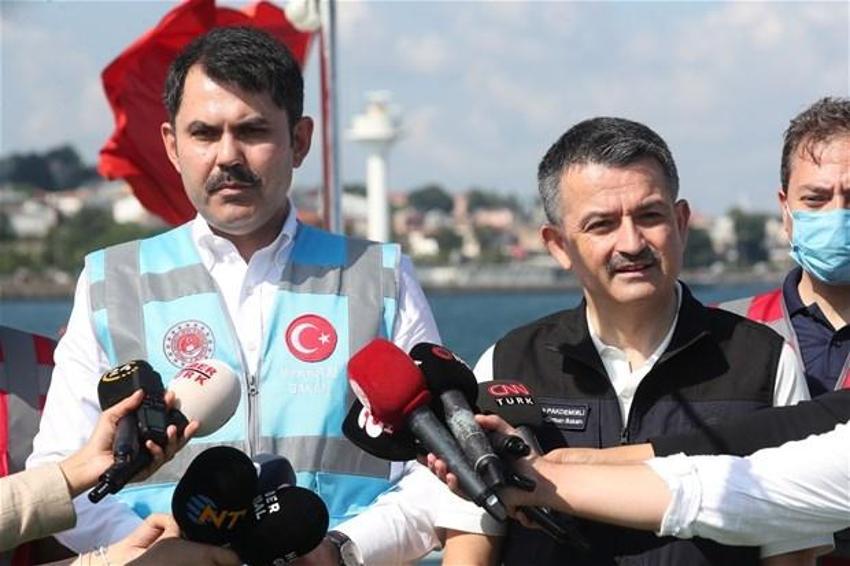 Türkiye flamingo faciasını konuşuyor! Tuz Gölü’nde yavrular neden öldü?