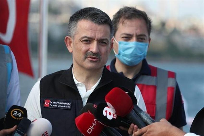 Türkiye flamingo faciasını konuşuyor! Tuz Gölü’nde yavrular neden öldü?