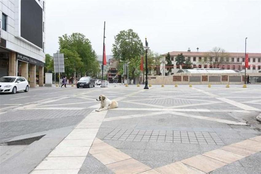 Koronavirüs tablosunda il il kritik son durum! Tam açılma derken 29 ilde kırmızı alarm...