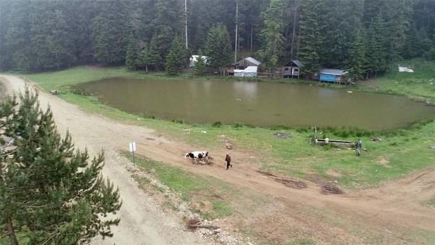 Koronavirüs tablosunda il il kritik son durum! Tam açılma derken 29 ilde kırmızı alarm...