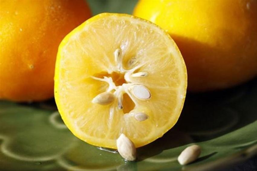 Limon suyunun şaşırtan etkisi! Yüzünüze sürdüğünüzde bakın ne oluyor...