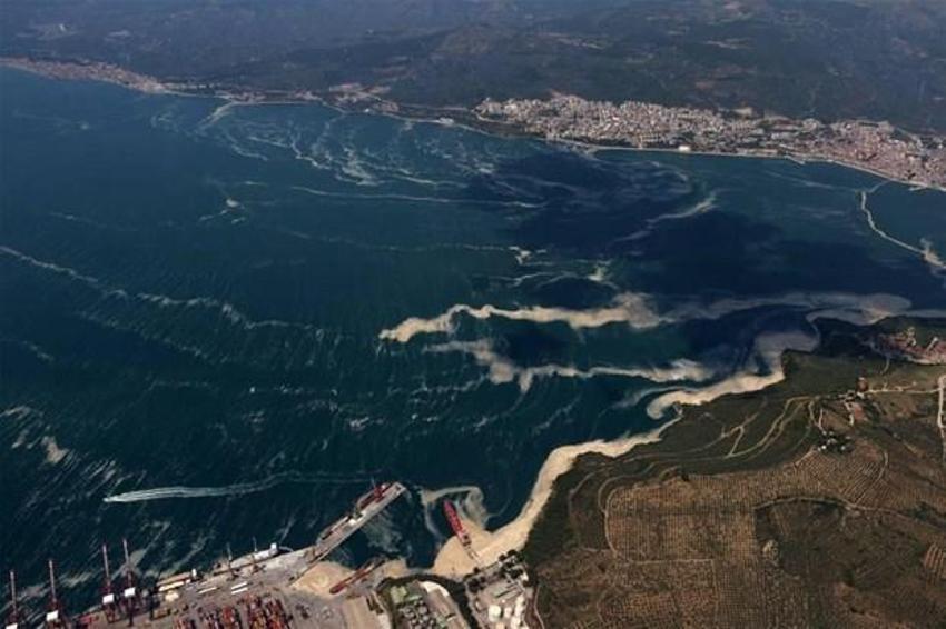 Marmara'da şaşırtan değişim! İstanbul’daki müsilaj uzaydan görüntülendi...