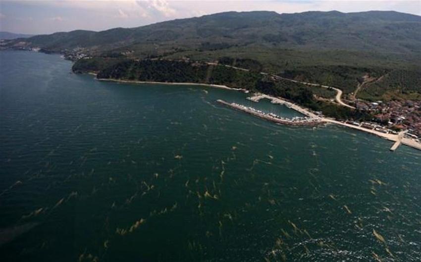Marmara'da şaşırtan değişim! İstanbul’daki müsilaj uzaydan görüntülendi...