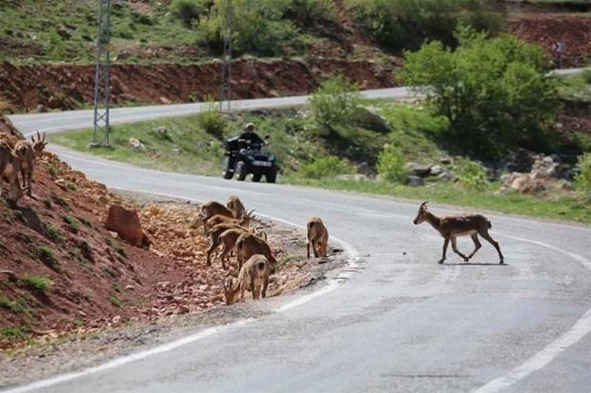 Tam kapanmada haftalık harita açıklandı! İşte il il vaka sayısı: İstanbul, İzmir, Ankara ve Trabzon...