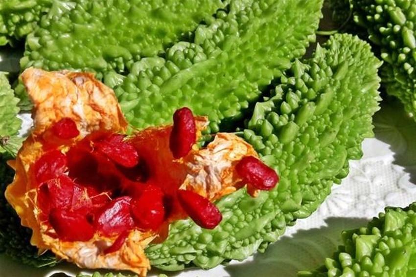Kandaki zehri atan süper besin! Etkisi inanılmaz: Sindirim sistemine, yanıklara, yaralara, iltihaplara, romatizmaya, varise ve guatra deva...