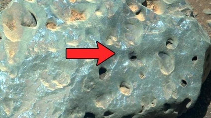 Kızıl Gezegen’de büyük tehlike! Bilim insanlarından 'Mars vebası' uyarısı...