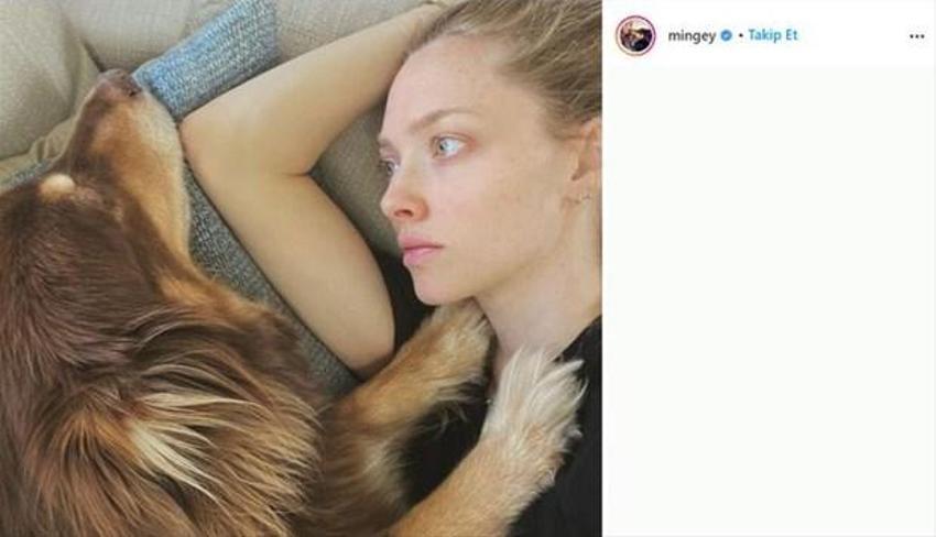 Amanda Seyfried'den hamilelik itirafı: 'Sır gibi sakladım'