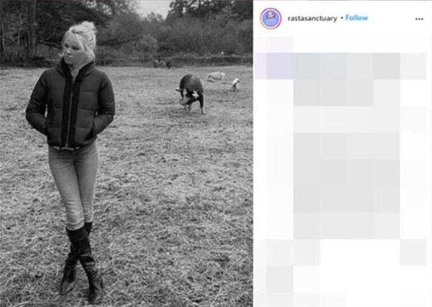 Pamela Anderson beşinci kez evlendi