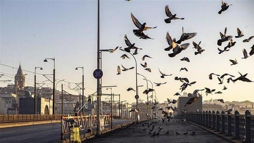 Koronavirüs vakalarında Anadolu hâlâ alarm veriyor! Yasak kararları sonrası ilk veriler...