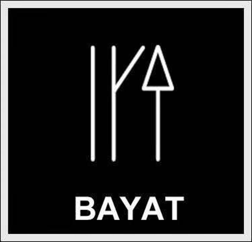 İşte Türklerin soy ağacı gerçeği! Hangi il hangi boydan geliyor?