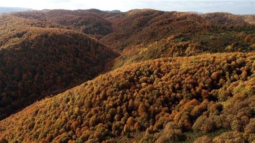 Binlerce yıllık tarihi su hattında sonbahar güzelliği