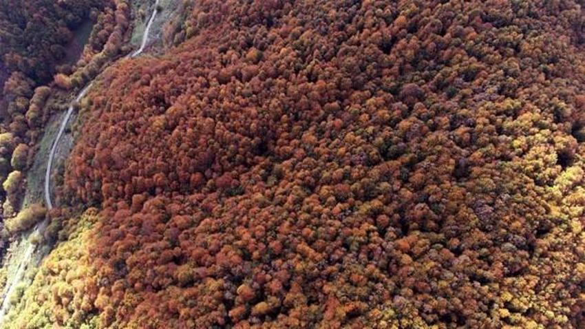 Binlerce yıllık tarihi su hattında sonbahar güzelliği