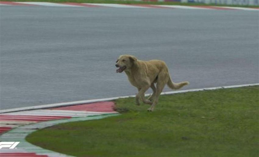 Formula 1 Türkiye GP'ye damga vuran an! İstanbul'da büyük sürpriz...
