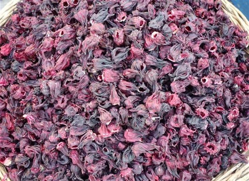 Hibiskus nasıl kullanılır, hibiskusun faydaları nelerdir?