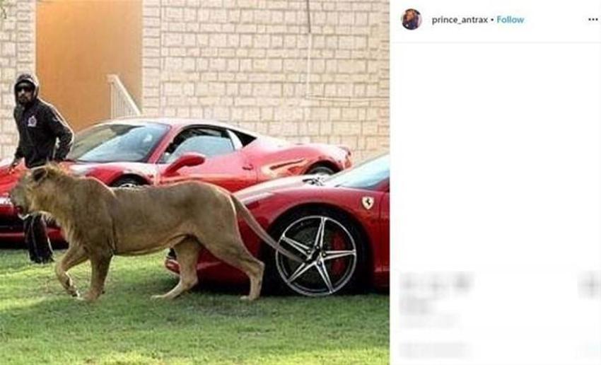 Dünyanın en ünlü suçlusu El Chapo'nun sağ kolu öldürüldü!