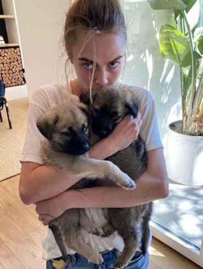 Cara Delevingne telefon numarasını takipçileriyle paylaştı