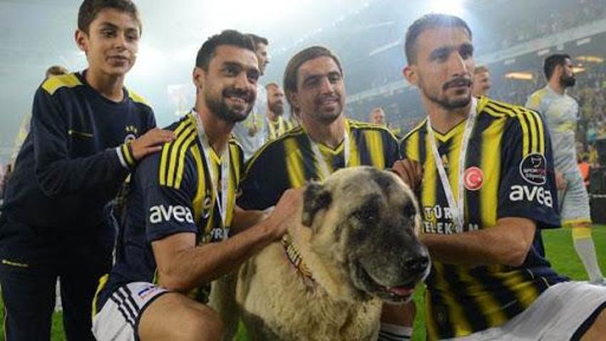 Mehmet Topuz'dan Fenerbahçe - Beşiktaş itirafı! 'Tekme tokat daldım'