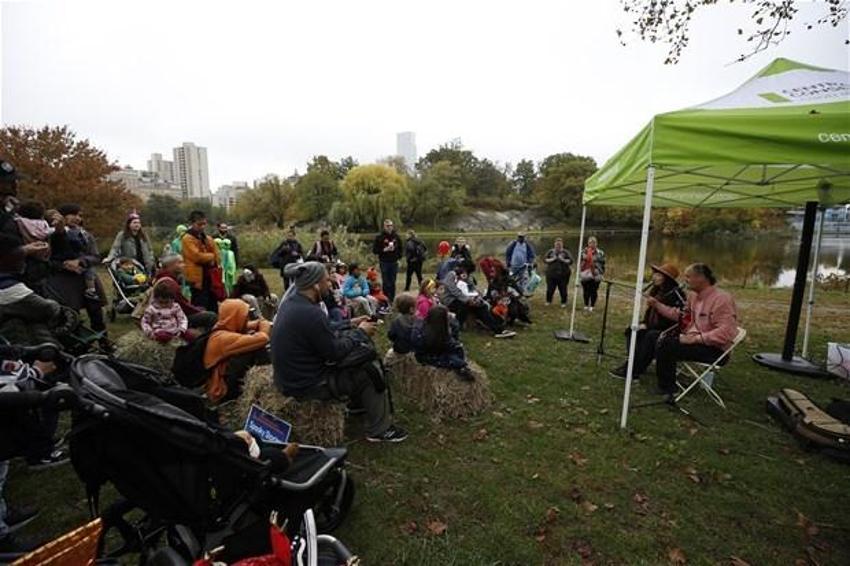 Central Park'ta bal kabaklarından ilginç şekiller
