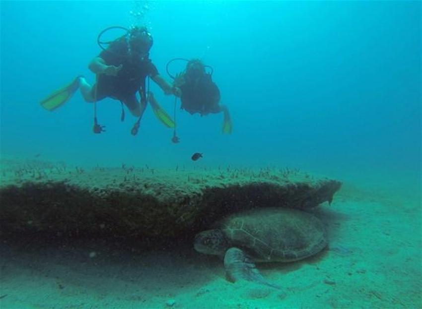 Tarih ve doğa cenneti Kekova'da dalış keyfi