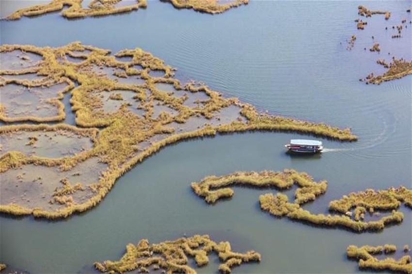 Gören büyüleniyor! Turistlerin gözdesi: "Labirent görünümlü sazlıklar"