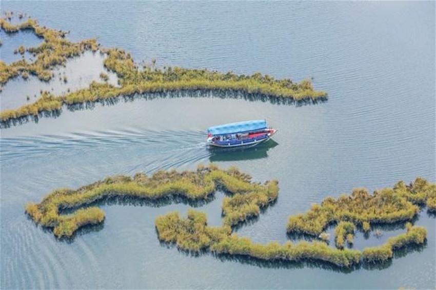 Gören büyüleniyor! Turistlerin gözdesi: "Labirent görünümlü sazlıklar"