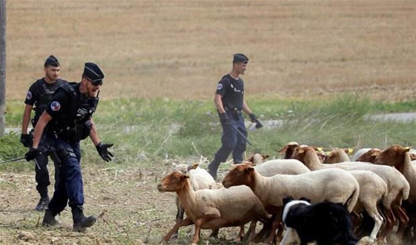 Tour de France'da bisikletçiler biber gazı yedi