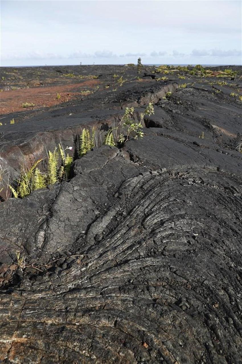Hawaii'de Kilauea Yanardağı faaliyete geçti! Dehşete düşüren kareler