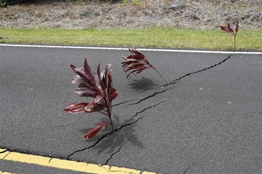 Hawaii'de Kilauea Yanardağı faaliyete geçti! Dehşete düşüren kareler
