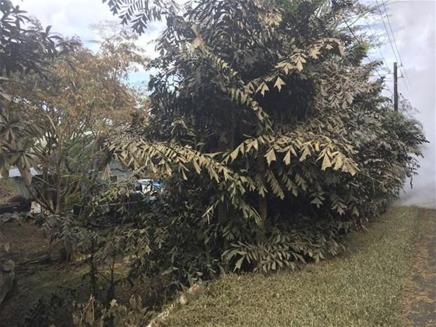 Hawaii'de Kilauea Yanardağı faaliyete geçti! Dehşete düşüren kareler