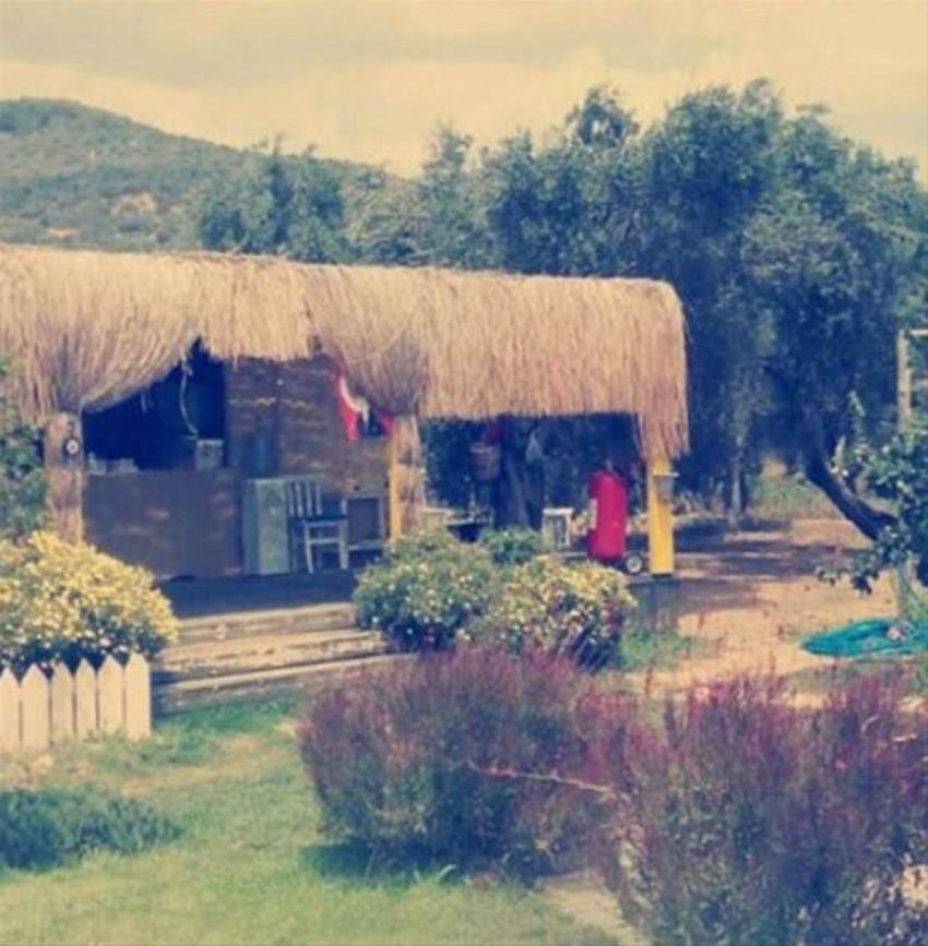 Ünlüler İstanbul'dan tasını tarağını toplayıp kaçıyor! Usta oyuncu, 'Ailem ve benim için en doğru karar' diyerek duyurdu
