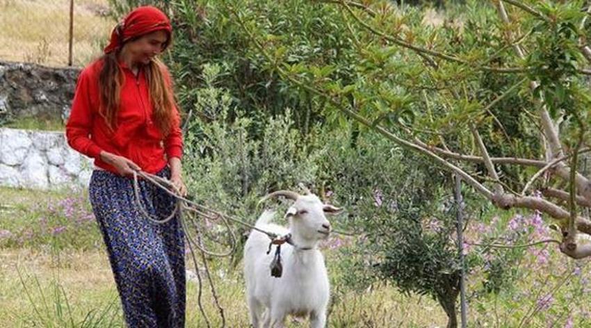 Ünlüler İstanbul'dan tasını tarağını toplayıp kaçıyor! Usta oyuncu, 'Ailem ve benim için en doğru karar' diyerek duyurdu