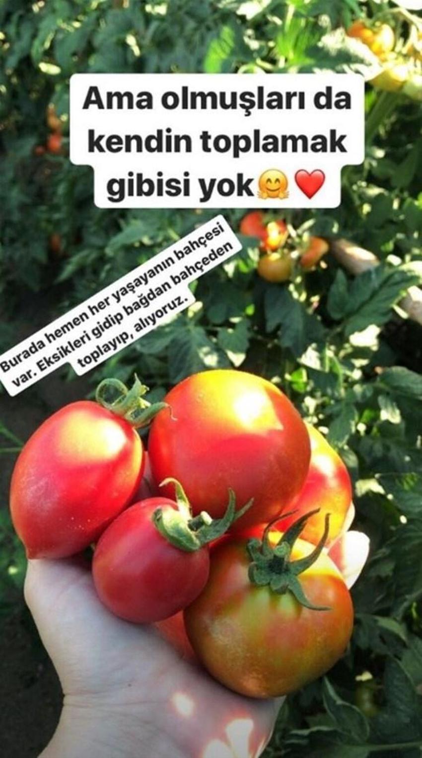 Ünlüler İstanbul'dan tasını tarağını toplayıp kaçıyor! Usta oyuncu, 'Ailem ve benim için en doğru karar' diyerek duyurdu