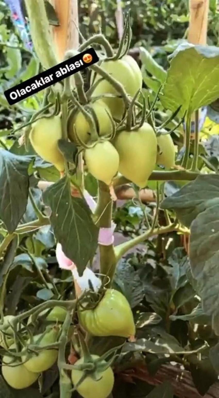 Ünlüler İstanbul'dan tasını tarağını toplayıp kaçıyor! Usta oyuncu, 'Ailem ve benim için en doğru karar' diyerek duyurdu