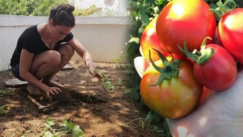 Ünlüler İstanbul'dan tasını tarağını toplayıp kaçıyor! Usta oyuncu, 'Ailem ve benim için en doğru karar' diyerek duyurdu