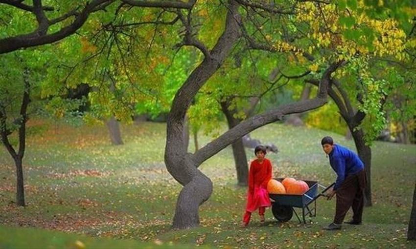 Uzun yaşamın sırrı