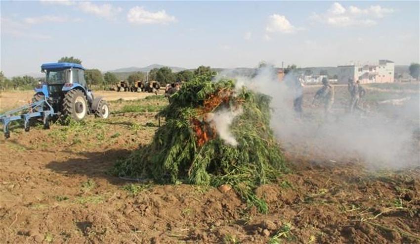 Lice'de terörün finans kaynağı uyuşturucuya büyük darbe