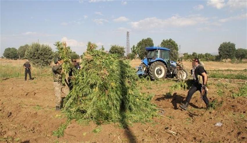Lice'de terörün finans kaynağı uyuşturucuya büyük darbe