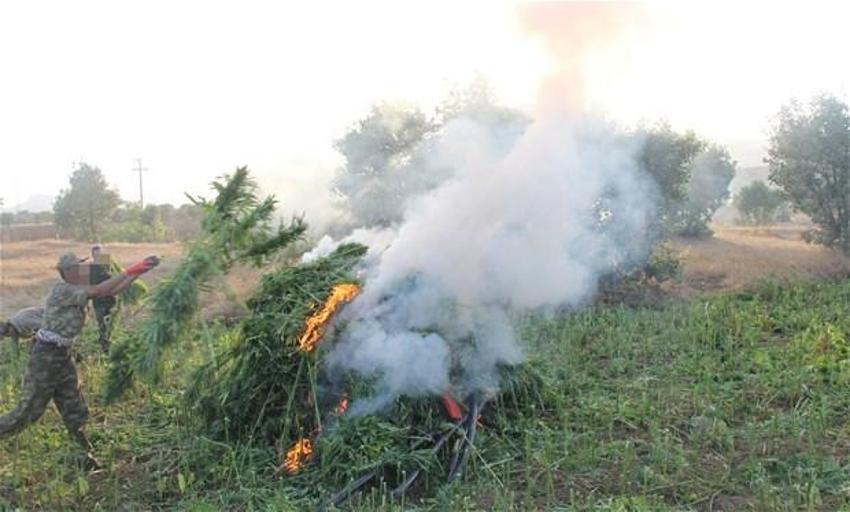 Lice'de terörün finans kaynağı uyuşturucuya büyük darbe