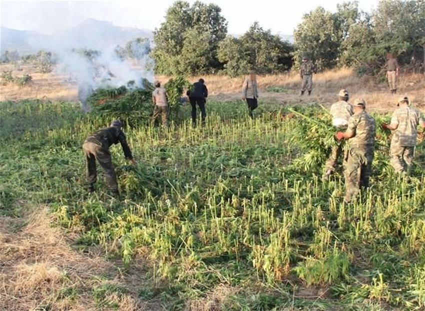 Lice'de terörün finans kaynağı uyuşturucuya büyük darbe
