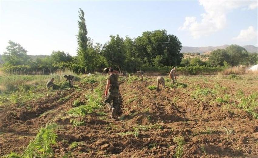 Lice'de terörün finans kaynağı uyuşturucuya büyük darbe