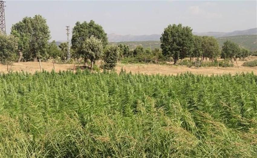 Lice'de terörün finans kaynağı uyuşturucuya büyük darbe
