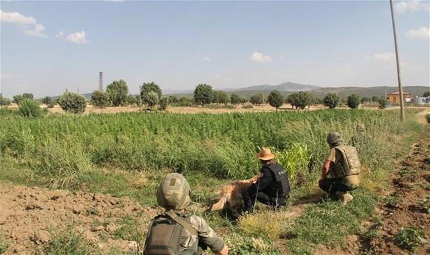 Lice'de terörün finans kaynağı uyuşturucuya büyük darbe
