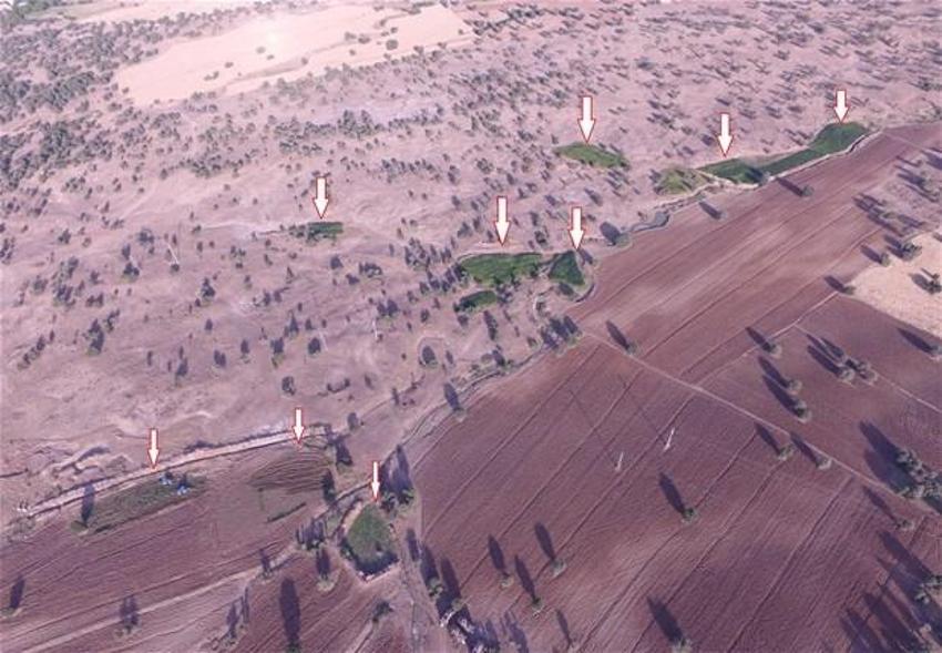 Lice'de terörün finans kaynağı uyuşturucuya büyük darbe