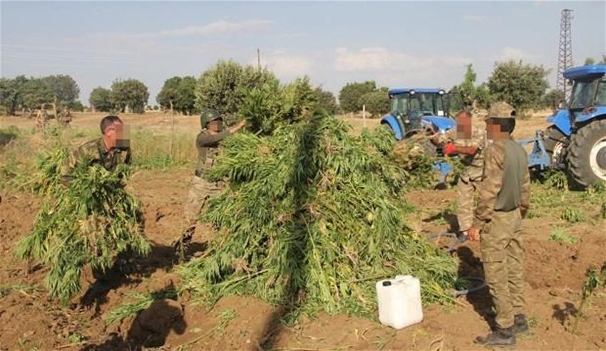 Lice'de terörün finans kaynağı uyuşturucuya büyük darbe