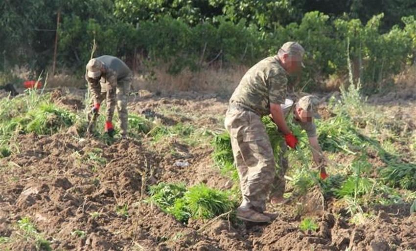 Lice'de terörün finans kaynağı uyuşturucuya büyük darbe