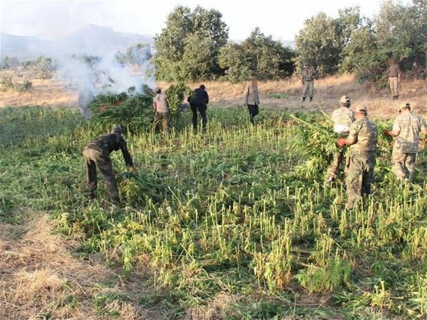 Lice'de terörün finans kaynağı uyuşturucuya büyük darbe