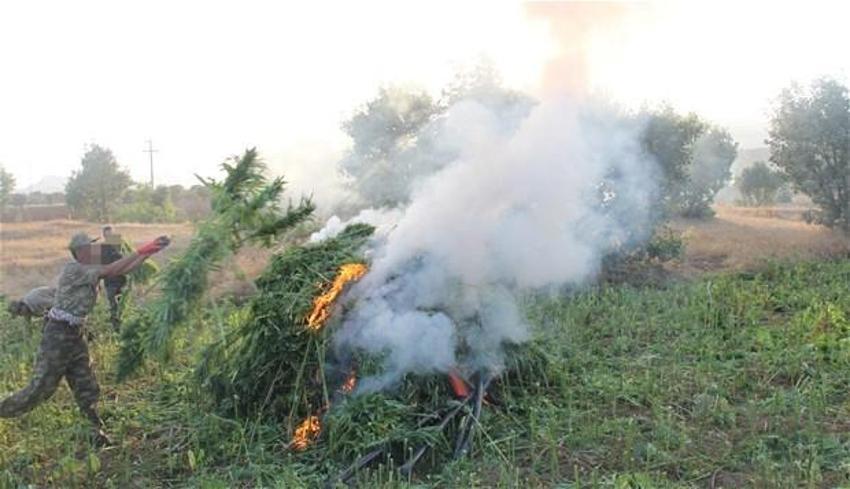 Lice'de terörün finans kaynağı uyuşturucuya büyük darbe